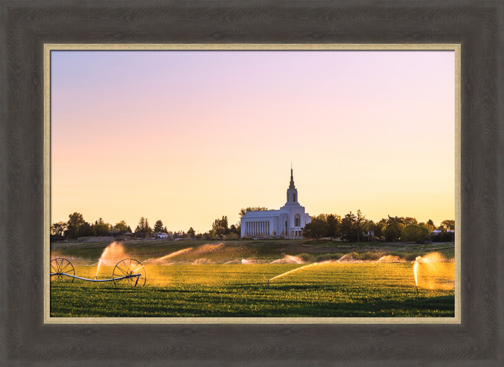 Burley Temple - Seed of Faith