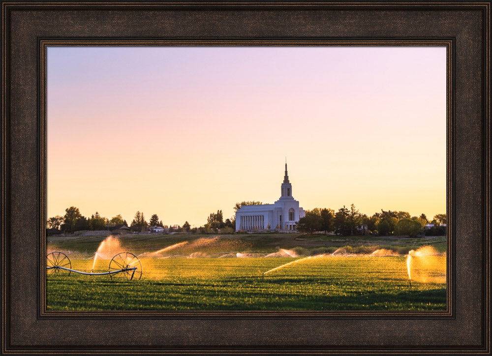 Burley Temple - Seed of Faith