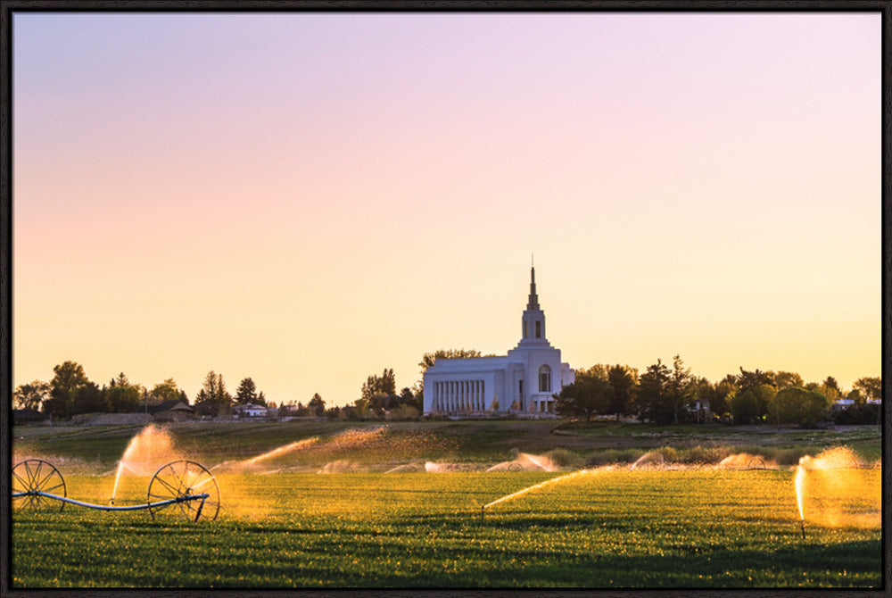 Burley Temple - Seed of Faith