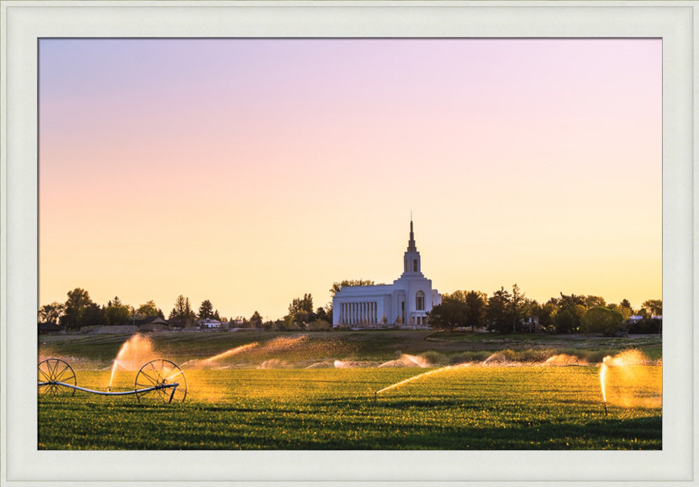 Burley Temple - Seed of Faith