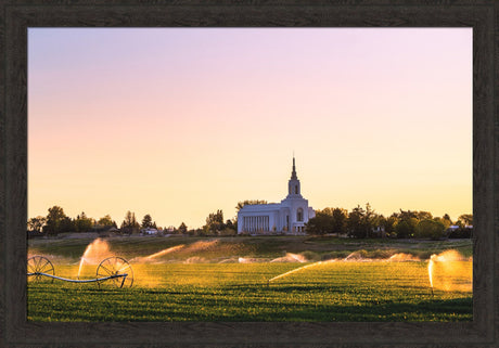 Burley Temple - Seed of Faith