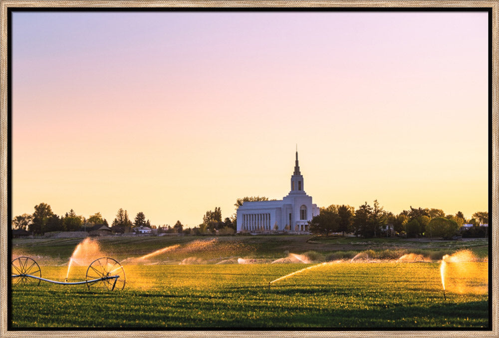 Burley Temple - Seed of Faith