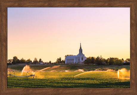 Burley Temple - Seed of Faith