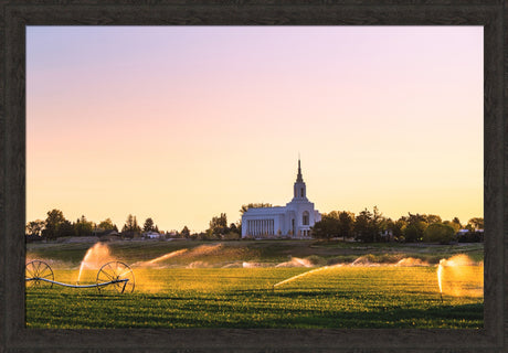 Burley Temple - Seed of Faith