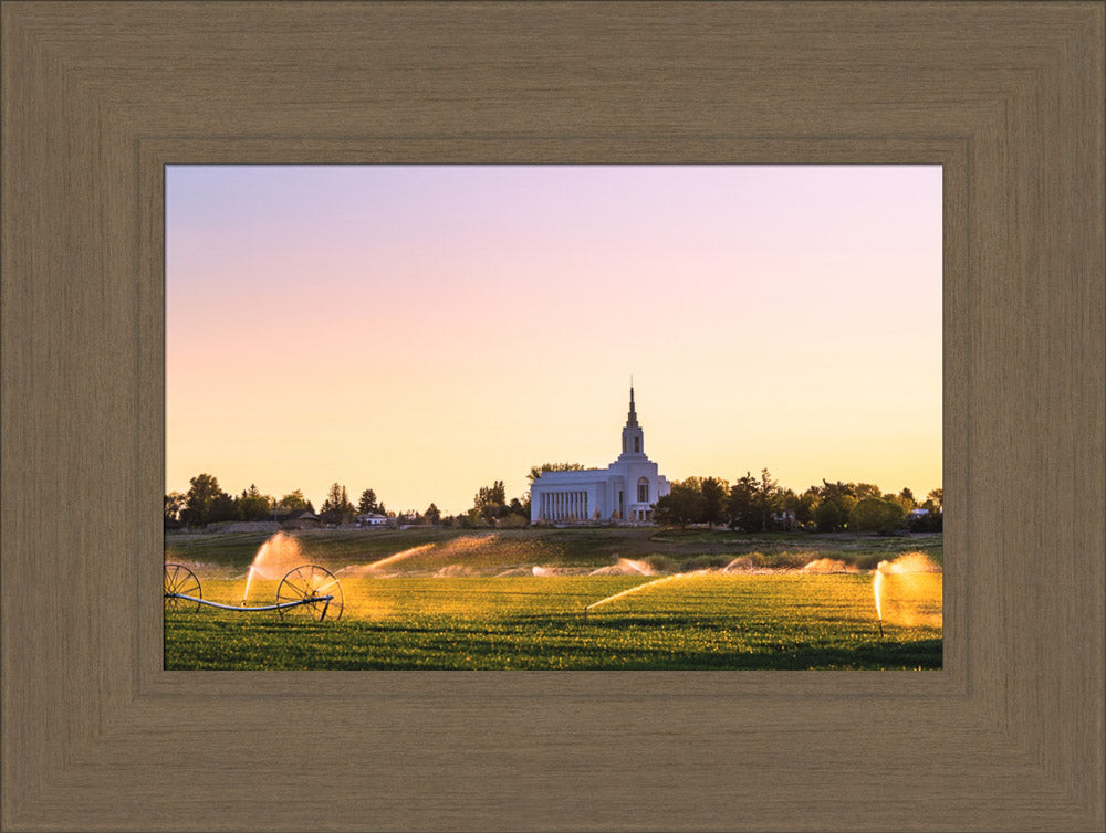 Burley Temple - Seed of Faith