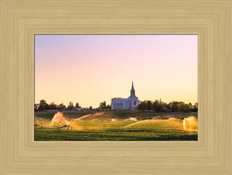 Burley Temple - Seed of Faith