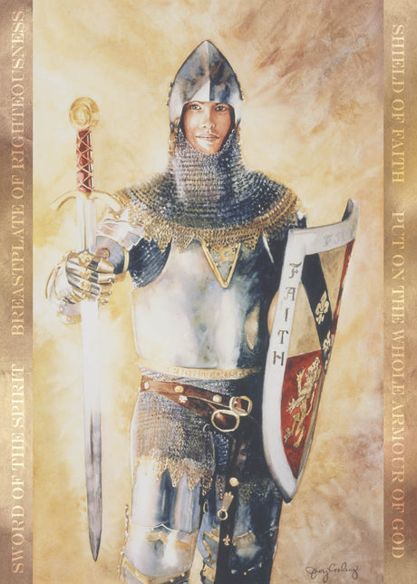 Armour of God