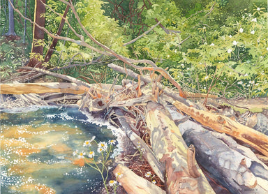 Watercolor painting of trees fallen in a river symbolizing to trust in God. 