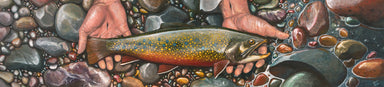 The hands of Jesus Christ holding a brook trout over colorful river rocks.