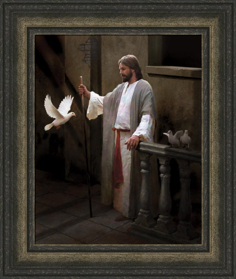 Christ and the Dove by Doc Christensen