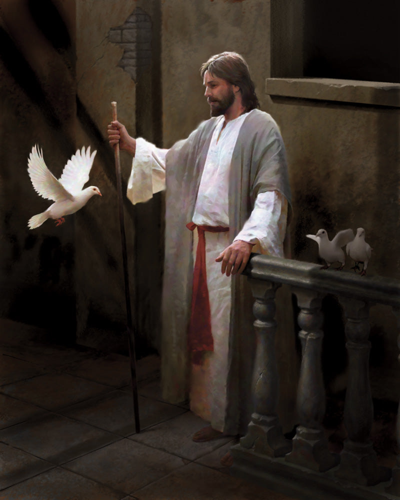jesus christ umages birds