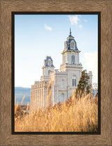 Manti Temple - Golden by Evan Lurker