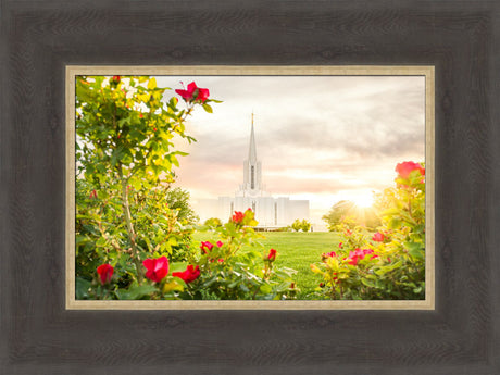 Jordan River Utah Temple - Roses by Evan Lurker