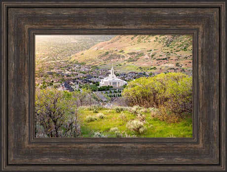 Draper Utah Temple - Irradiated by Evan Lurker