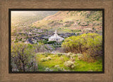 Draper Utah Temple - Irradiated by Evan Lurker