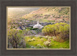 Draper Utah Temple - Irradiated by Evan Lurker