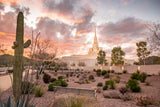 Phoenix Temple bench view with cactus and sunset