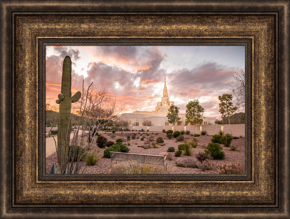 Phoenix Arizona Temple - Ponder by Evan Lurker