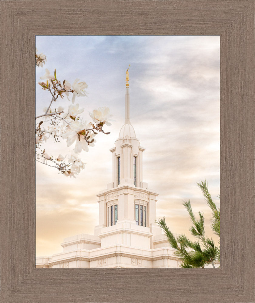 Payson Temple - Blossoms by Evan Lurker