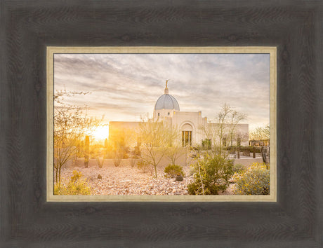 Tucson Arizona Temple - Endless Light by Evan Lurker