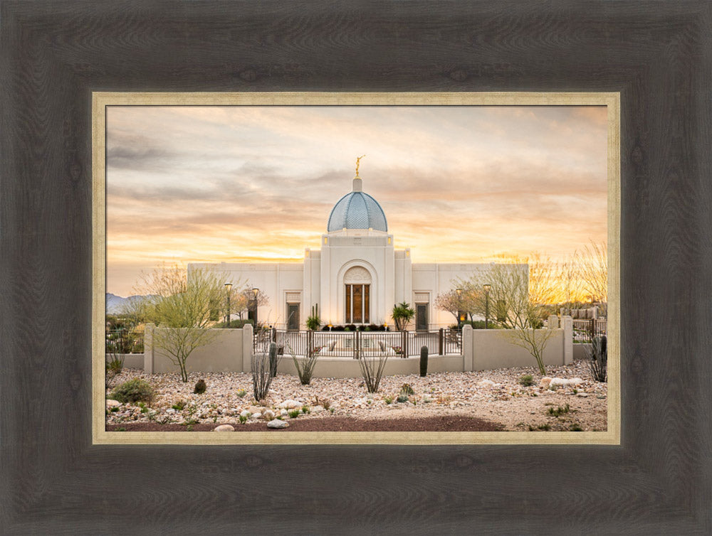 Tucson Temple - Desert Beauty by Evan Lurker