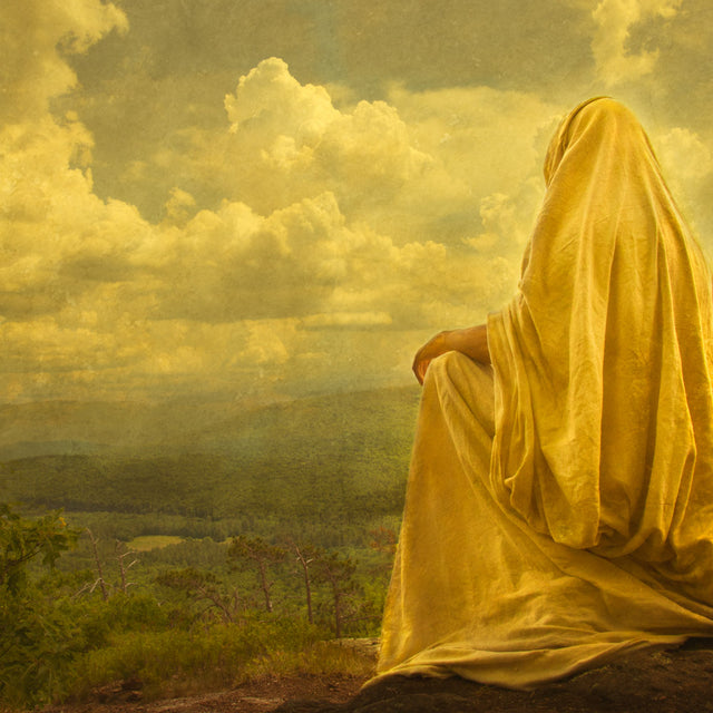 Christ sitting on a hillside looking out over Jerusalem landscape.