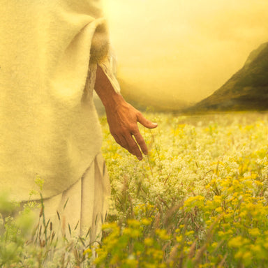 Jesus walking through a field of lilies. 