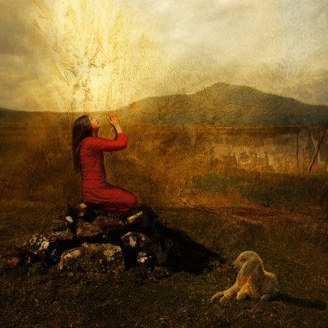 A girl kneeling in a field praying. Light shines around her.