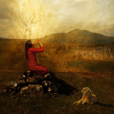 A girl kneeling in a field praying. Light shines around her.