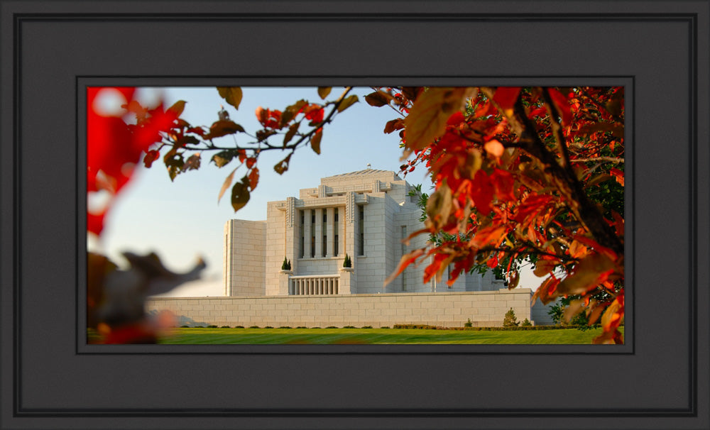 Cardston Temple - Fall Leaves by Hank deLespinasse