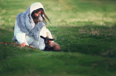 Jesus crouched in the grass helping a an injured lamb.