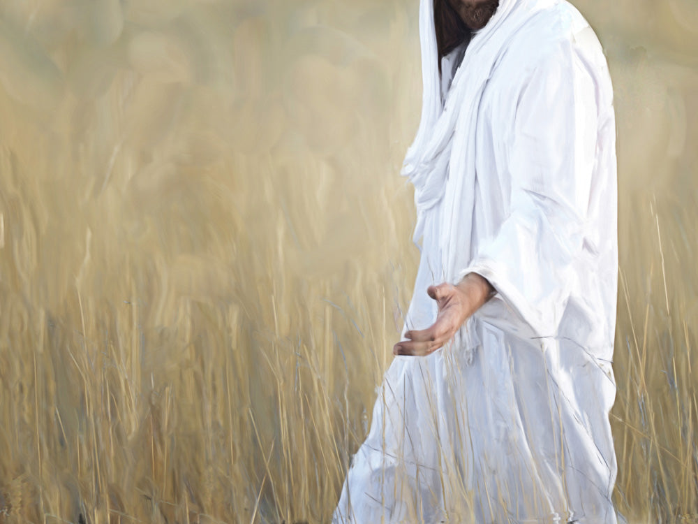 Jesus walking through a wheat field. Only his robe and outstretched hand is visible.