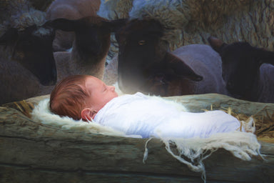 Baby Jesus sleeping in a manger.
