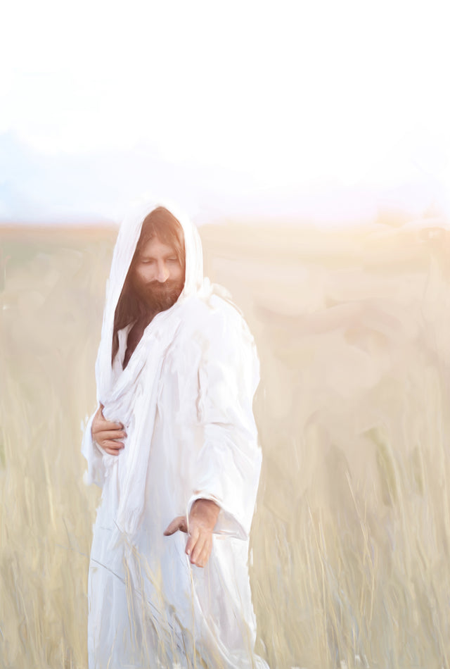 Jesus standing in a wheat field.