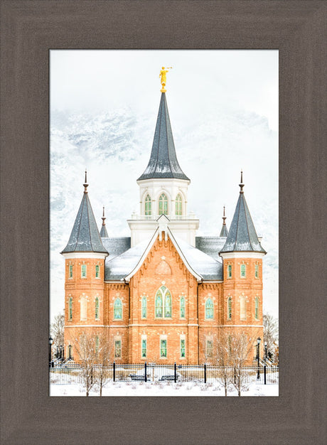 Provo City Center Temple - In January by Kyle Woodbury