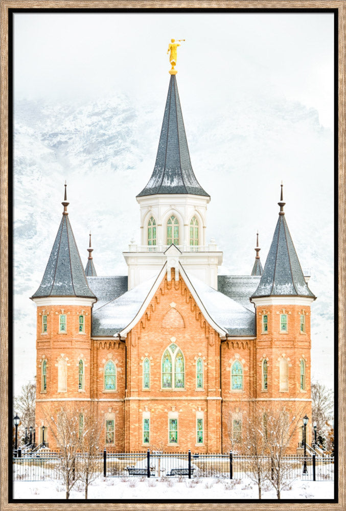 Provo City Center Temple - In January by Kyle Woodbury