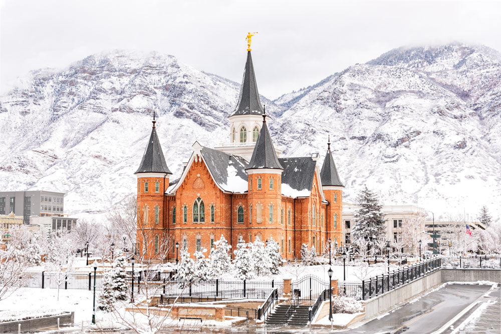 Winter snowfall canyon view