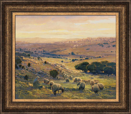 Shepherd's Field by Linda Curley Christensen