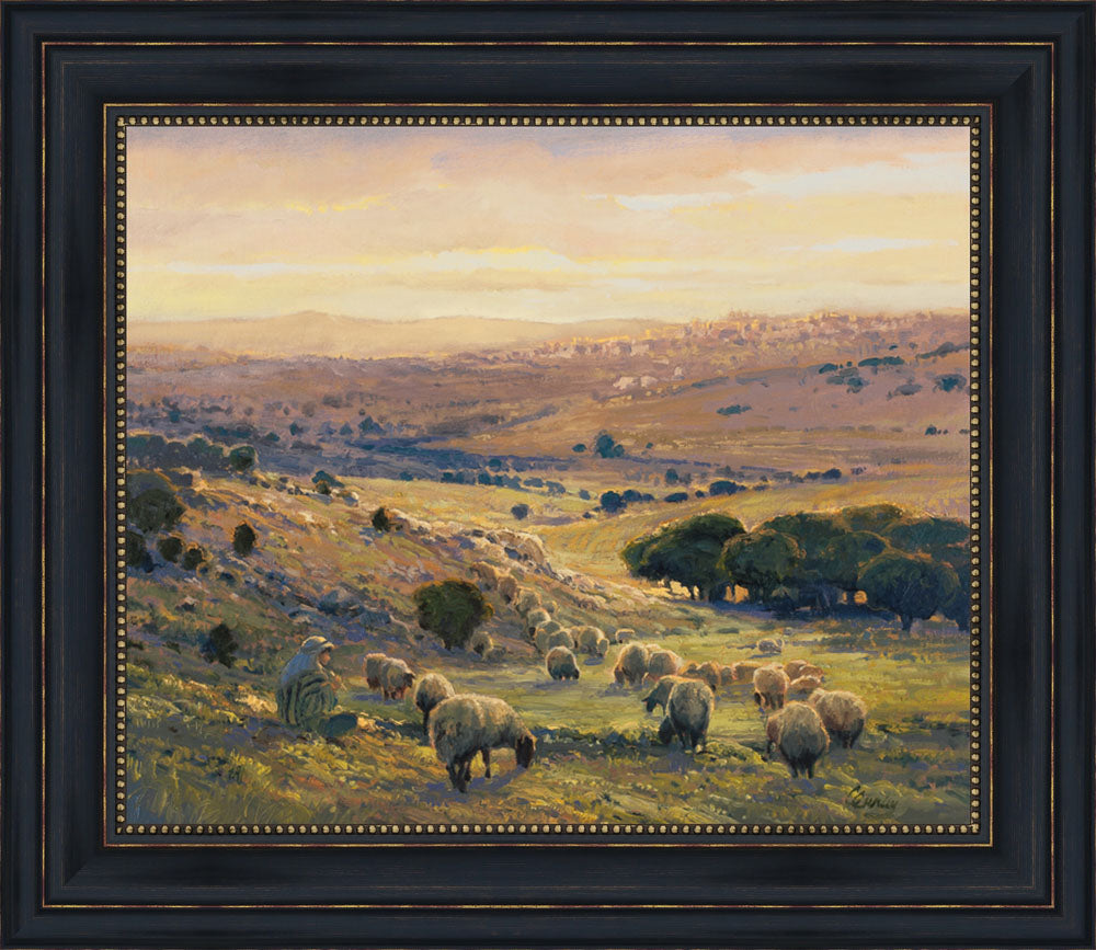 Shepherd's Field by Linda Curley Christensen