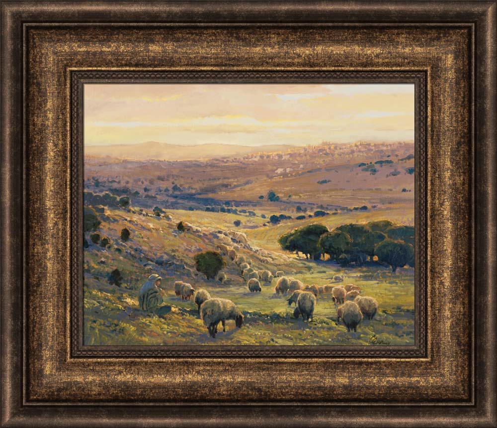 Shepherd's Field by Linda Curley Christensen