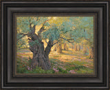 Olive trees in the garden of Gethsemane with light shinning through. Art 2