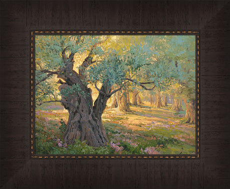 Olive trees in the garden of Gethsemane with light shinning through. Art 9