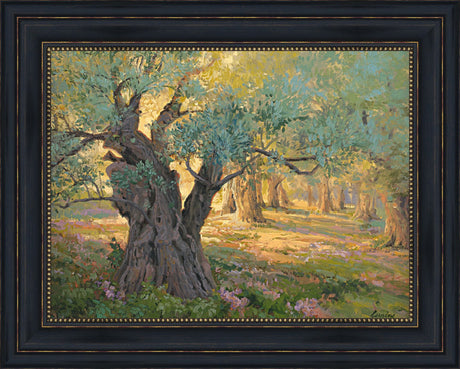 Olive trees in the garden of Gethsemane with light shinning through. Art 3