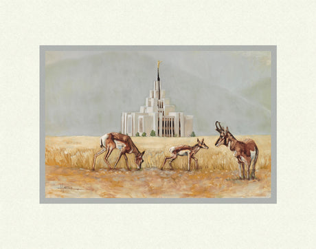 Saratoga Springs Temple- Misty Morning- Lori Hatfield