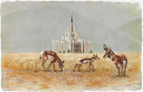 Saratoga Springs Temple- Misty Morning- Lori Hatfield