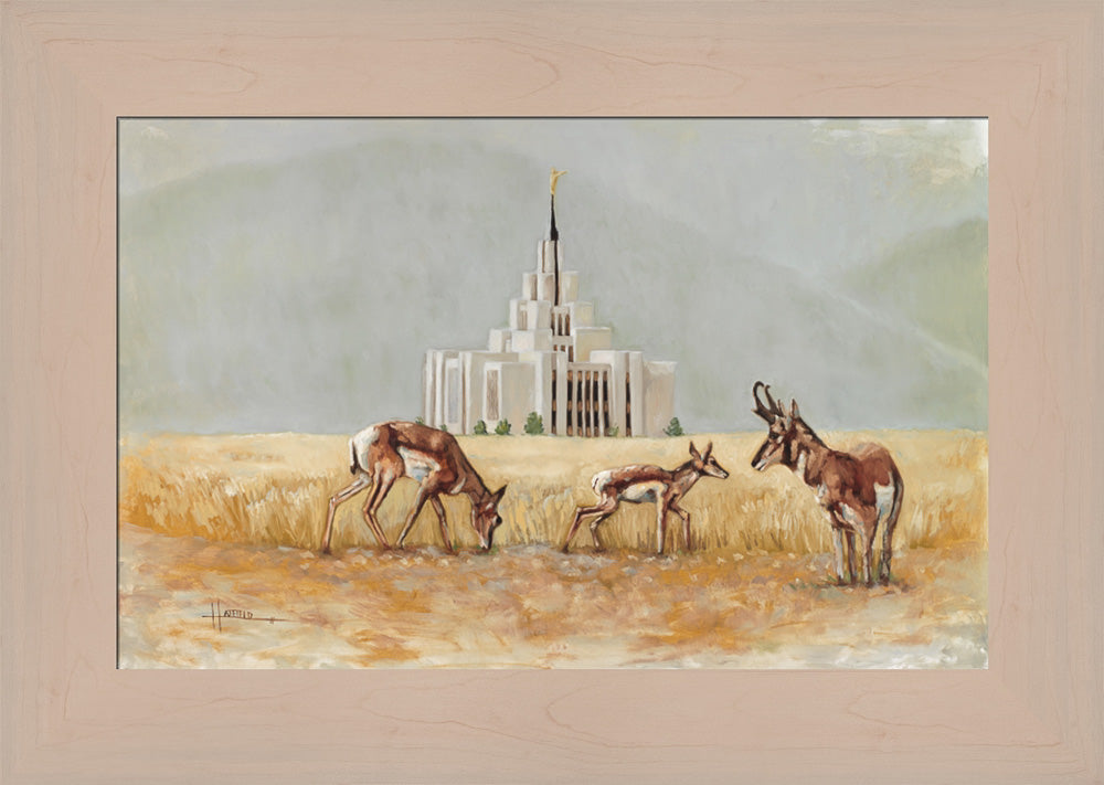 Saratoga Springs Temple- Misty Morning- Lori Hatfield