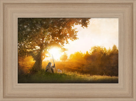 Jesus is the Good Shepherd sitting under tree with a lamb. Art 9