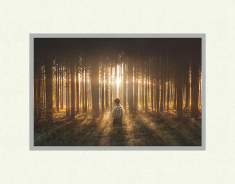 Young Joseph Smith kneeling in a grove of trees with light shining through.  Art 8