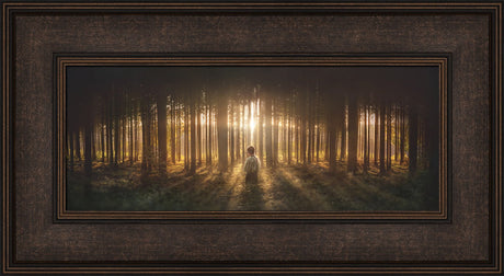 Young Joseph Smith kneeling in a grove of trees with light shining through.  Art 6