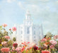 St. George Temple with pick flowers and a blue sky. 